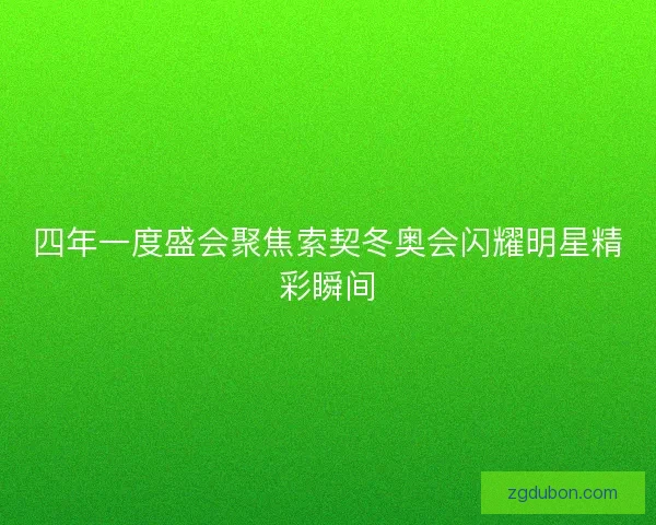 四年一度盛会聚焦索契冬奥会闪耀明星精彩瞬间