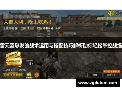 雷元素爆发的战术运用与搭配技巧解析助你轻松掌控战场
